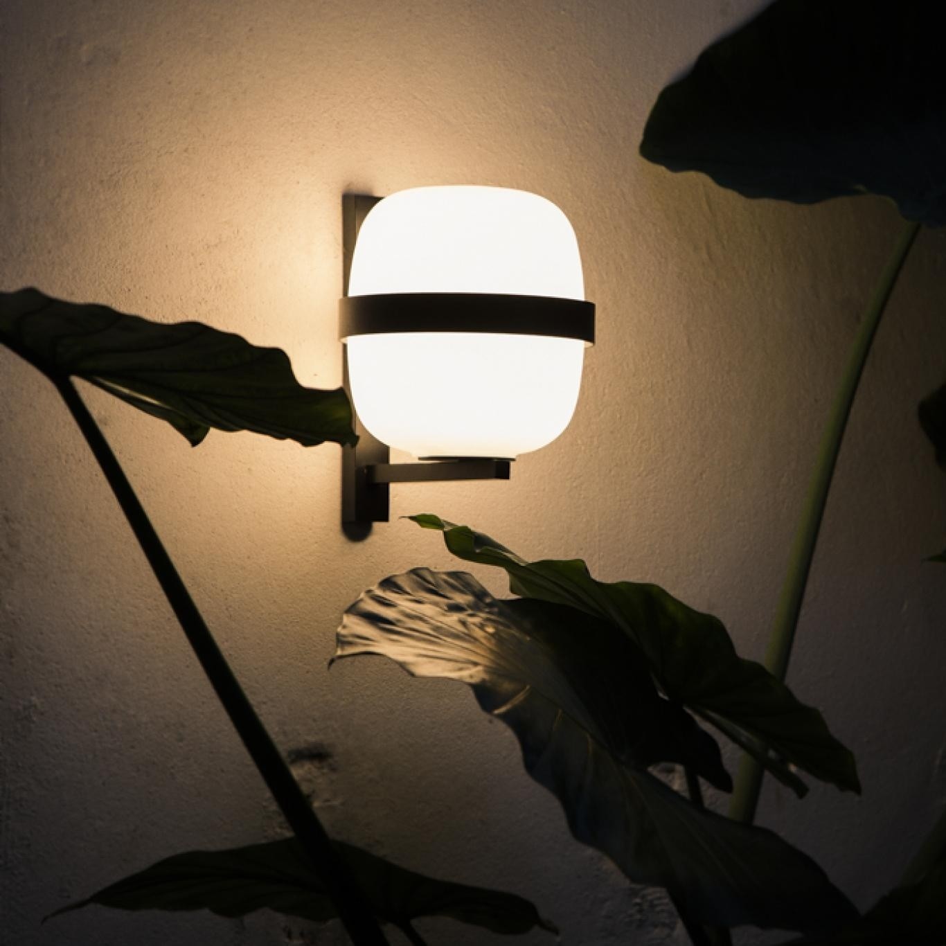 Wally wall light | AJAR