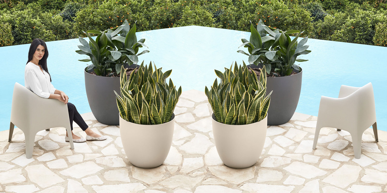 Cuenco Easy Planter - Image 4