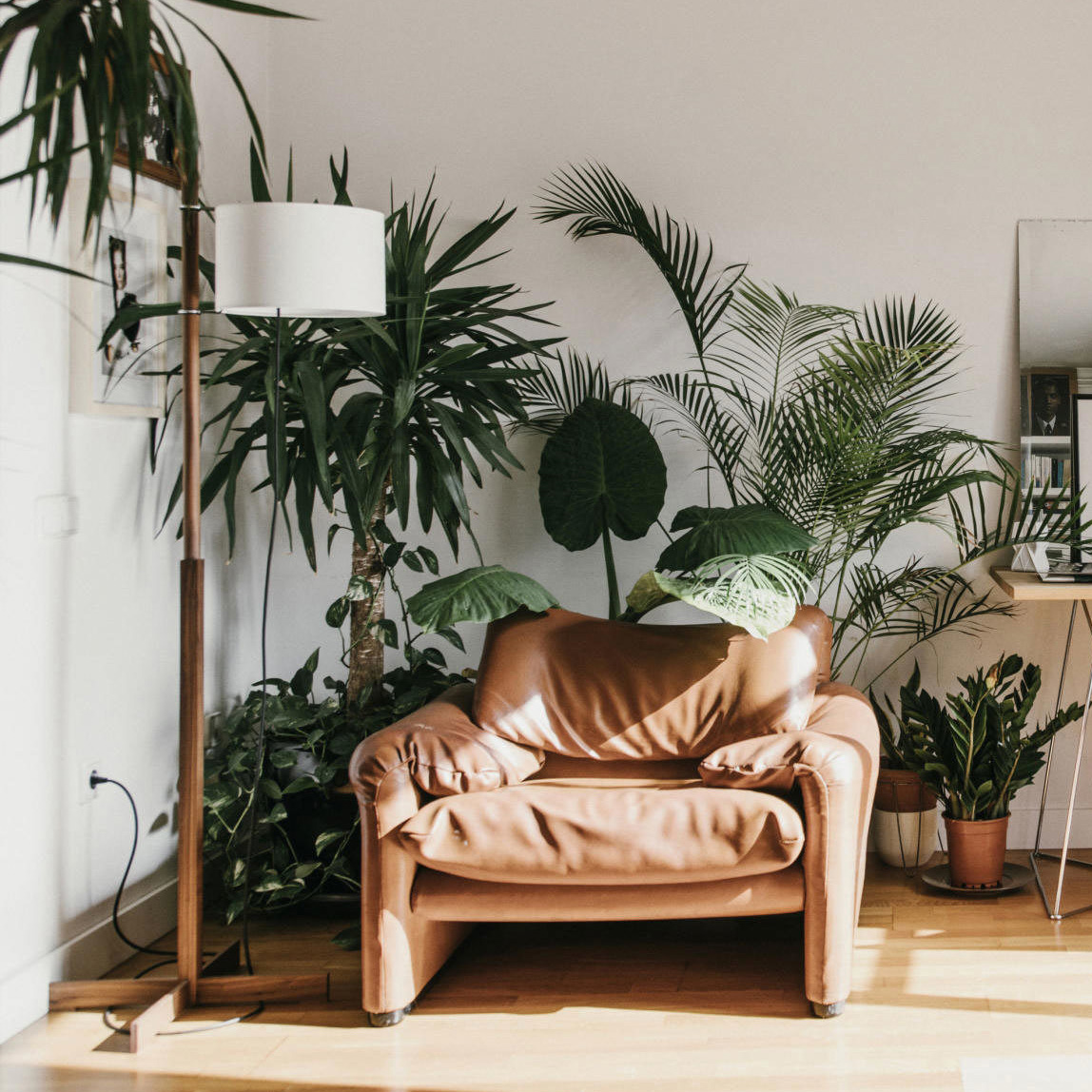 TMM Floor Lamp - Walnut - Image 4